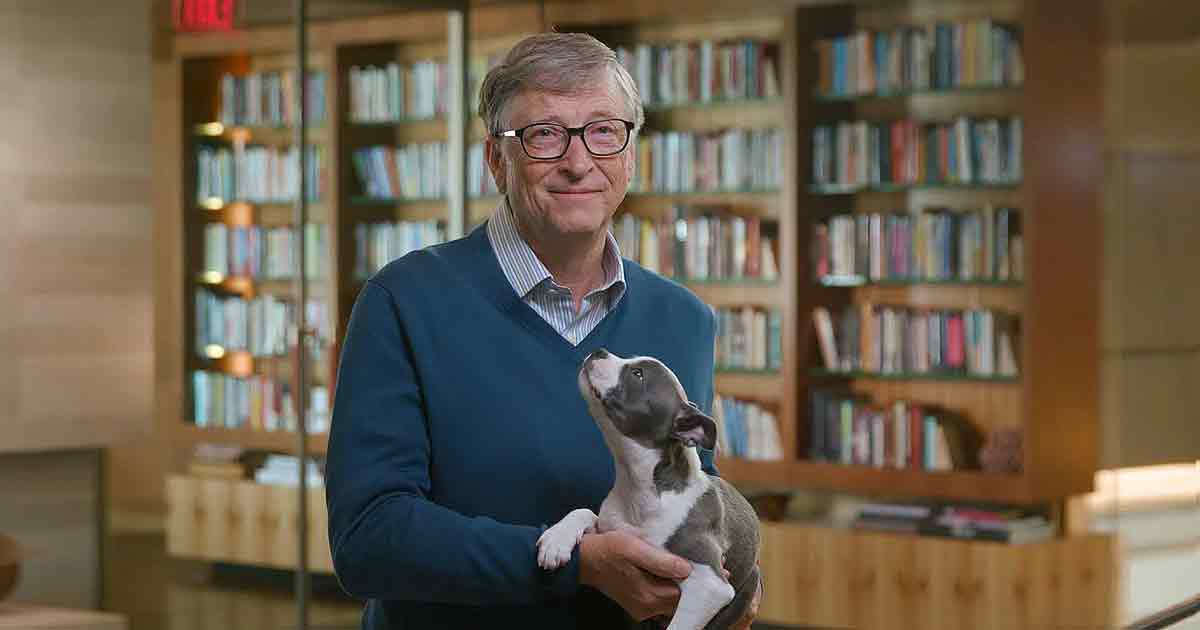 Билл Гейтс раскрыл секрет, как читать книги с наибольшей пользой