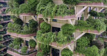 Почему в китайские дома с лесом на балконах никто не хочет заселяться
