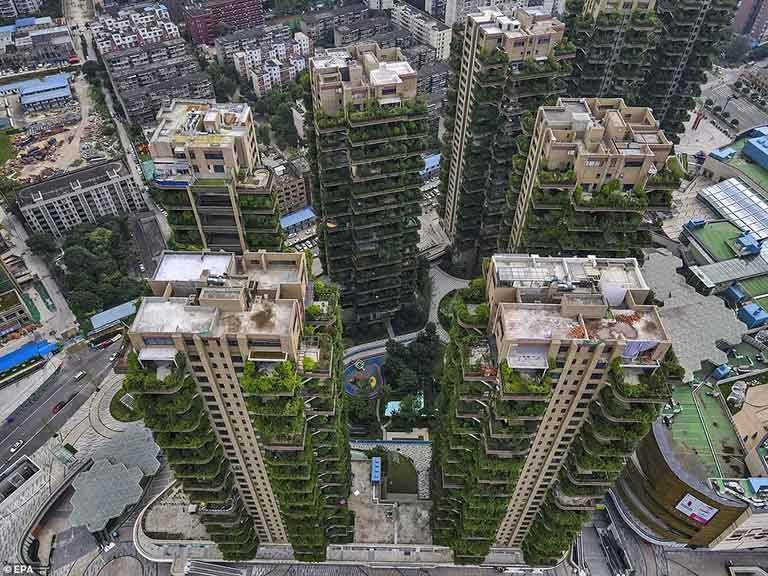 Вид на жилой комплекс Qiyi City Forest Garden в Чэнду, Китай