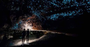 Уникальная пещера светлячков Waitomo Glowworm в Новой Зеландии